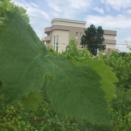 Villa Flowers Međugorje Dış mekan fotoğraf