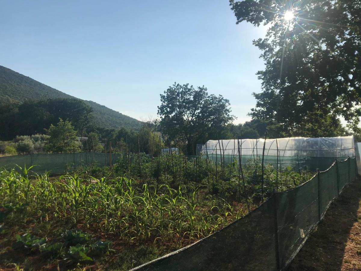 Villa Flowers Međugorje Dış mekan fotoğraf