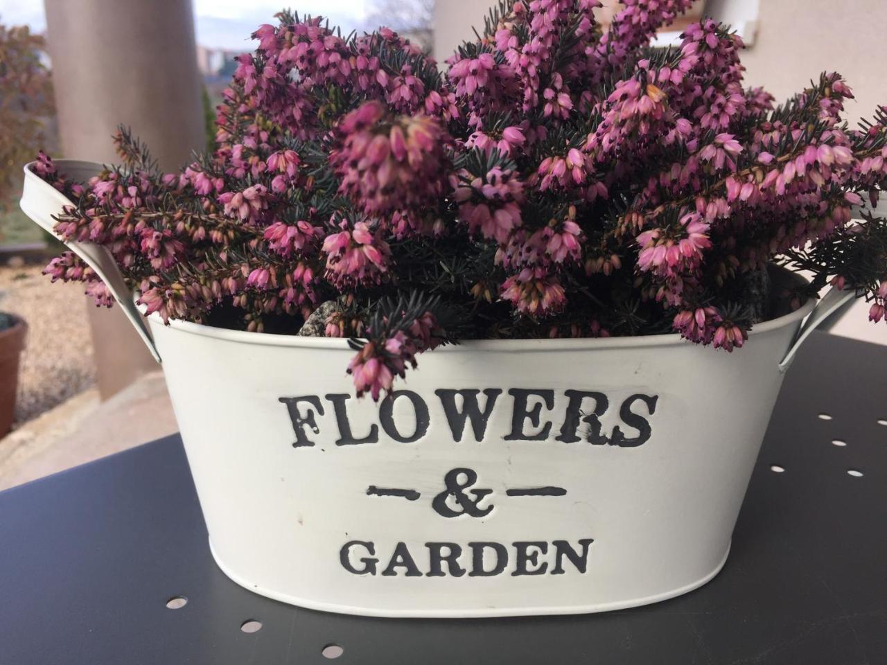 Villa Flowers Međugorje Dış mekan fotoğraf
